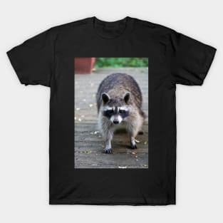 Fat Raccoon Print T-Shirt